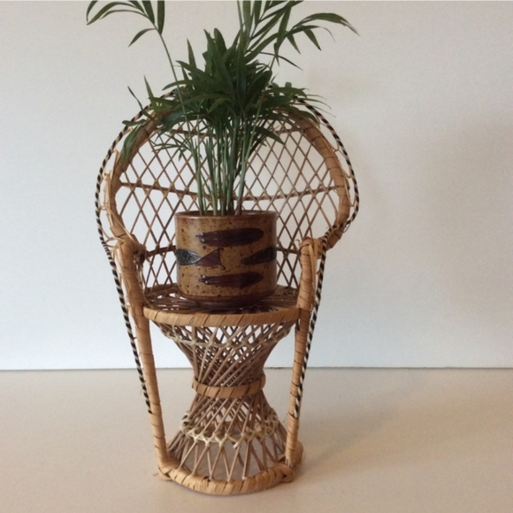 Vintage Other - Mini fan back rattan peacock chair plant stand